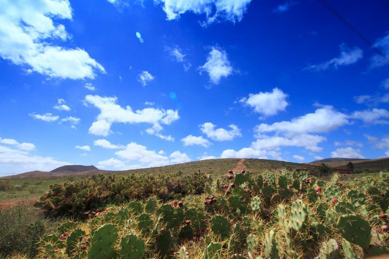 Montana Valles De Ortega -C Exterior photo
